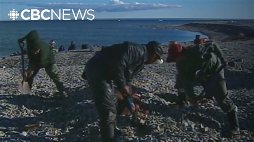 How changing permafrost is affecting traditional Inuit food fermenting