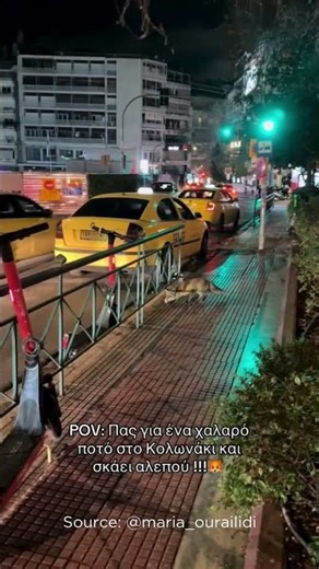 «Χαμένη στο Κολωνάκι»: Αλεπού εμφανίστηκε στο κέντρο της Αθήνας