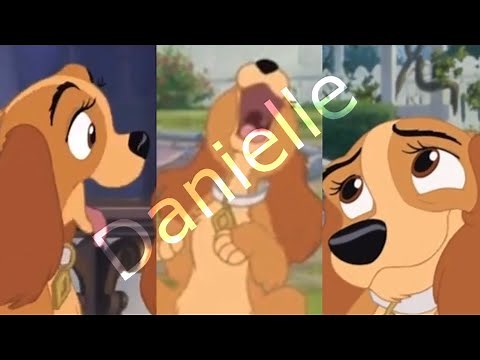 Lady and the Tramp 2: Scamp’s Adventure All Danielle Scenes
