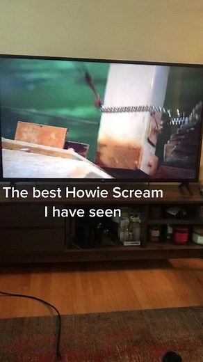 #Scream #Screams #Beethoven #Howie #wilhelm #movies #soundeffects