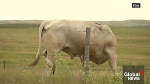 Warning for Sask. hunters goes out as dry conditions expected through Fall