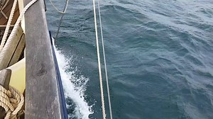 2.3K views · 182 reactions | Amelie Rose is in a rush to get to the Cornish waters she loves so much (it's where she was born). Up to 9 kts on the log as we head for Fowey. | Pilot Cutter Amelie Rose | Facebook