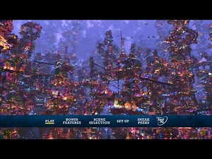 Coco (2017) - DVD MENU