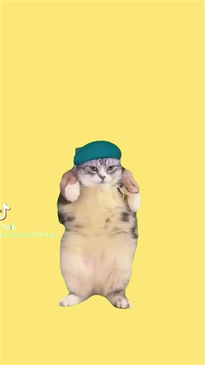 Creating an Engaging MHA Roleplay Experience on Discord