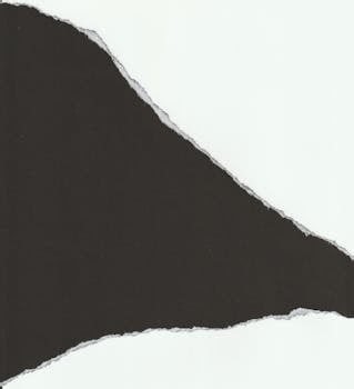 Adolf Hitler: Biografía, Ascenso y Caída del Dictador Nazi