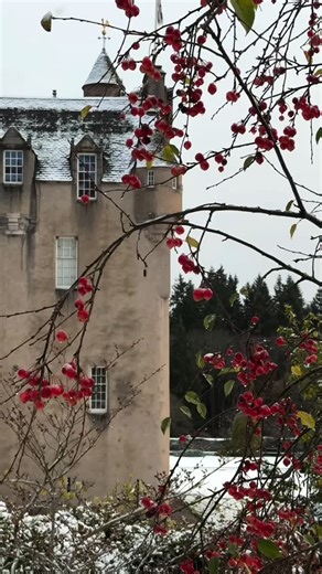National Trust for Scotland on Instagram: "If you’re planning on visiting all the historic castles in Scotland, here’s one you should know about… Crathes Castle in Banchory is on the Aberdeenshire Castle Trail – arguably the castle crawl capital! This sixteenth-century tower house was the home of the Burnetts. Their roots in the area date back to 1323, when they were granted land by none other than Robert the Bruce. Inside, admire the painted ceilings, treasures and turrets. In the garden, you w