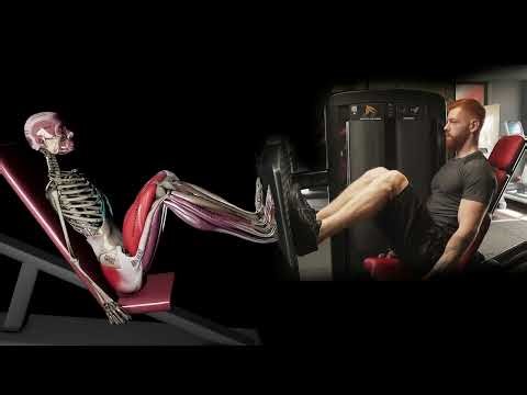 Жим ногами сидя на тренажере