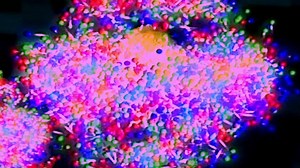 1K reactions · 203 shares | It's real science in one reel!...