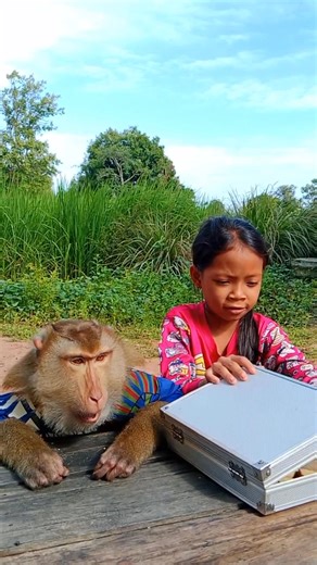 2.9K views · 49 reactions | Unboxing with a Monkey and a Child – Cutest Video Ever #reelsvideoシ | SR Baby Monkey | Facebook