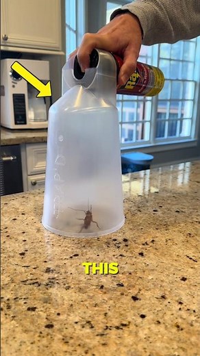 This Bug Trap Is So Satisfying to Use