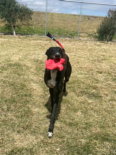 table \t{mso-displayed-decimal-separator: