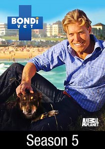 Bondi Vet: The 30-Year-Old Spider Monkey
