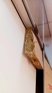 Cloison amovible avec isolation thermique en laine de roche | بوزوين رشيد