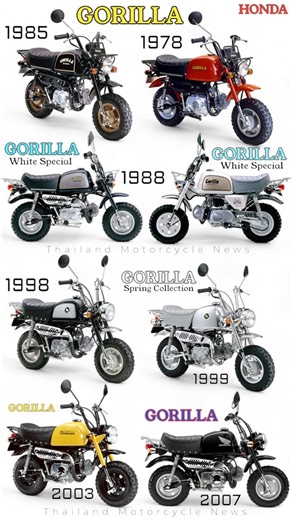 #GORILLAseries HONDA GORILLA ปี1978's | จักรยานยนต์ อีก 1 รุ่นที่ขายดีมากของ Monkey's Sibling. ในปี 1978's กอริลลาได้รับการเปิดตัวในเวลาเดียวกับ Monkey ที่ได้รับการปรับปรุงใหม่ Gorilla ใช้เครื่องยนต์ และแชสซีส์แบบเดียวกันกับ Monkey แต่ถังน้ำมันมีความจุ 9 ลิตรมากกว่า Monkey ที่มีความจุ 5 ลิตร และเบาะนั่งที่ใหญ่กว่าและคุณสมบัติอื่นๆ ทำให้ดูใหญ่กว่า Monkey นอกจากนี้ ยังติดตั้งแร็คสัมภาระด้านหน้า ทำให้เหมาะสำหรับการเดินทางกลางแจ้งได้ Gorilla มาพร้อมกับระบบเกียร์ธรรมดา 4 สปีด ซึ่งเป็นระบบเดียวกับที่ใ