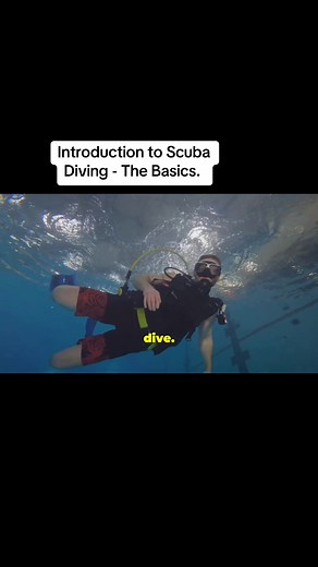 🌊 Dive into Adventure! 🤿✨ Ready to explore the underwater world? In this video, we’ll cover the basics of scuba diving for all you aspiring divers out there! 🐠🌟 👩‍🏫 What You’ll Learn: - Essential gear you need to get started - Key safety tips for your first dive - The amazing marine life you might encounter - How to choose the right certification course Whether you're looking to make a splash or just curious about the ocean, this guide will help you take your first steps into the deep blue