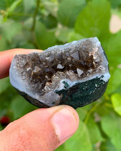 Small Smoky Quartz Drusy Crystals , Crystal Cluster, Home Décor, February Birthstone - Etsy