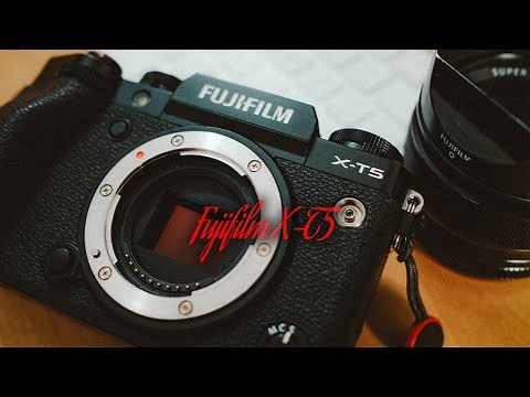 Fujifilm X-T5 Review // After Heavy Usage
