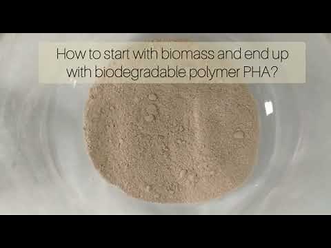 How to make the biodegradable polymer PHA