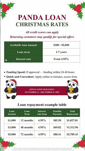 🎄 Christmas Loans Made Easy For Everyone!
