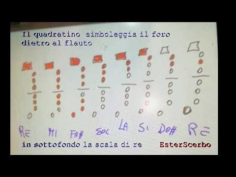 flauto ( posizioni delle dita e note sullo spatito )