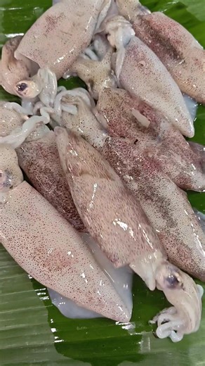 Squid Cleaning Trick | Easy Seafood Prep #shorts #short