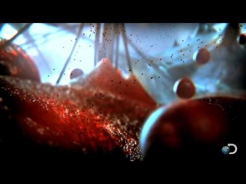 Life and Death Battle | Curiosity: Battlefield Cell