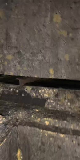 creepy ww2 bunker #haunted #paranormal #ghost #abandoned #Haunted