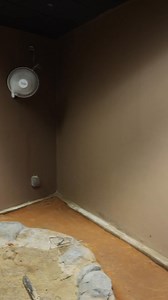 Our Exhibits team collaborated with our TREK team to refresh our black-necked stilt exhibit in the TREK Water building. The exhibit was emptied, cleaned and fully wrapped. Check out this video of the progress! | Tulsa Zoo