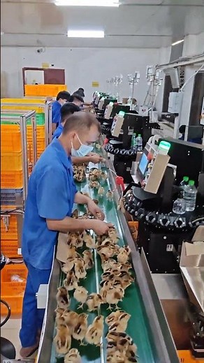Built for Modern Hatcheries