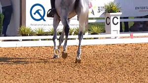 7K views · 199 reactions | Kurt Martin and D.A. Lifetime take the early lead in the USEF CCI3*-L Eventing National Championship after the first day of dressage at the Maryland 5 Star! ▶️ Tune in at 8:00 a.m. ET on Friday, October 15, to watch the remaining riders in the CCI3*-L national championship (and the CCI5*-L!): https://www.usef.org/network/coverage/2021maryland/?cl=b | USEF Network | Facebook