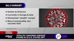 Omicron: What we know about the latest sub-variant of coronavirus