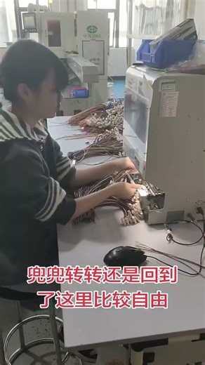 Inside Look: Factory Real Photos - Unleash Your Curiosity