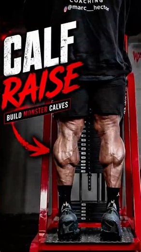 MONSTER CALVES