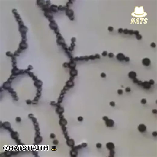 This is graphene oxide's reaction to 5G radio waves