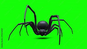 Front view of black spider with big sharp longlegs walk animation loop on green screen VFX element - 60 fps, 4K Pro Res with mask pass