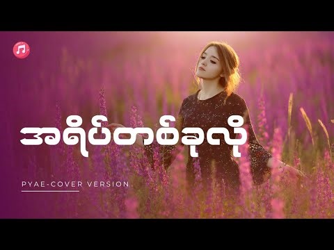 အရိပ်တစ်ခုလို-PYAE(Cover Version Lyrics)