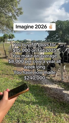 Cows making you money; any thoughts? #investment #businessowner #business #money #work #sidehustle #millionaire #cow #entrepreneur
