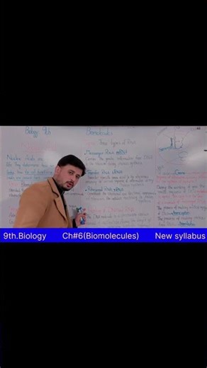 🧬 Types of RNA: mRNA carries the message, tRNA brings the amino acids, rRNA builds the protein #rna