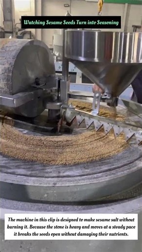 Watching Sesame Seeds turn into Seasoning