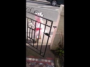 2.5K views · 17 reactions | Happy #WorldBookDay! Who's walked to school with Peppa Pig today? Or Harry Potter? If you have pictures of your children dressed as their favourite characters we'd love to see them. | KidStart | Facebook