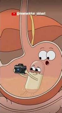 Pet के अंदर Camera? Capsule Endoscopy Explained 😲#CapsuleEndoscopy #MedicalTechnology #medicalfact