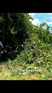 4.8M views · 214K reactions | His HEART CONDITION wouldn’t let him...