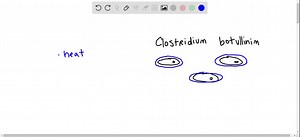 SOLVED: Clostridium botulinum is a strict anaerobe; that is, it is killed by the molecular oxygen (O2) present in air. Humans can die of botulism from eating foods in which C. botulinum is growing. How does this bacterium survive on plants picked for human consumption? Why are home-canned foods most often the source of botulism? | Numerade