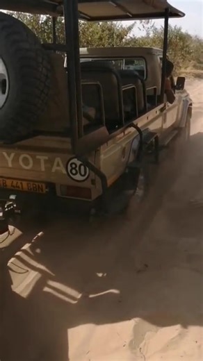 The Safari Toyota LandCruiser doing what it was chosen for!🔥💯👌🇧🇼 | Bw Car Culture