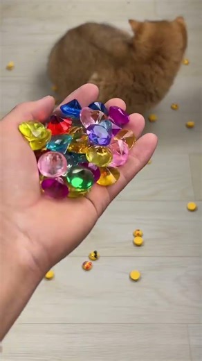 Cute Healing Cat ASMR The Most Relaxing Stress Relief Video Ever! #viralvideo #cat #cutecat