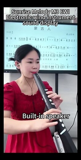 Sunrise Melody M3 EWI electronic wind instrument sound display, one of the 66 sounds #ewi