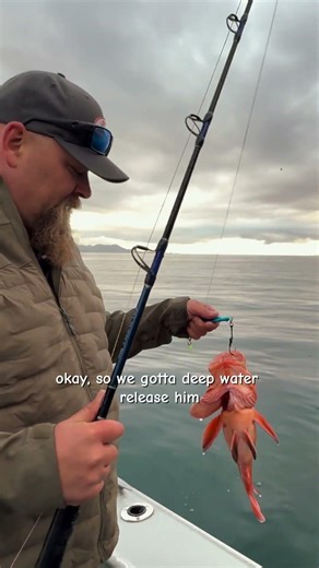 Deep Water Release to Protect Fish Bycatch: Chef Dad’s Conservation Tips!