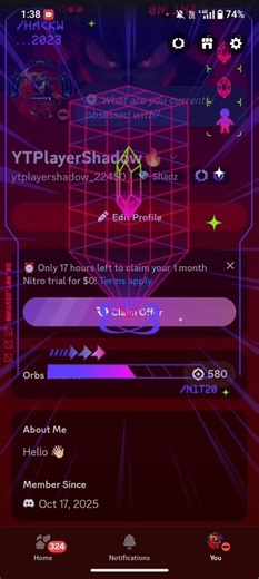 New Profile on Discord my favorite Character Shadow the hedgehog 🔥😍