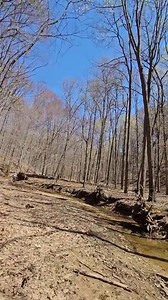 2.2K views · 49 shares | In order to know the forest, you have to...