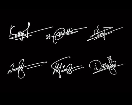 Custom Handwritten Signature Logo Design: Personalized Calligraphy - Etsy